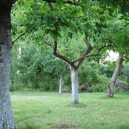 Lawendowe Blisko Lasu - Mikolajki (Mragowo)